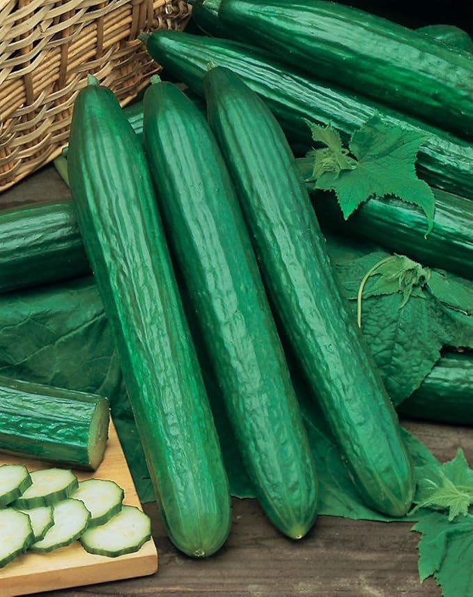 Seeds4planting - Seeds Cucumber Chinese Miracle Long Heirloom Vegetable Non GMO (20 Seeds)
