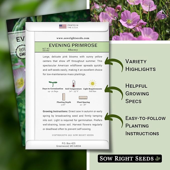 Sow Right Seeds - Showy Evening Primrose Flower Seeds for Planting - Non-GMO Heirloom Packet with Instructions - Native Wildflower for Pollinators - Perennial Pink Ladies, Mexican Evening Blooms (3)