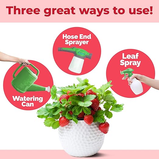 Berry Fertilizer – Liquid Plant Food for Bigger Harvests, Stronger Roots & Healthy Growth, 32 oz