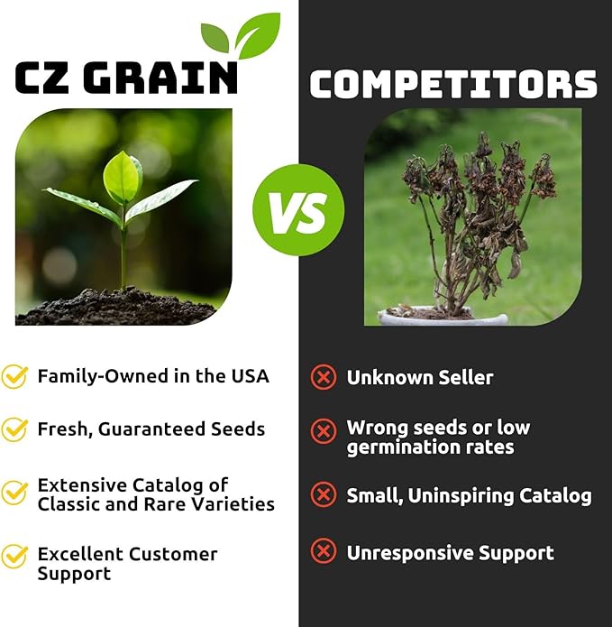 Winter Wheat Cover Crop Seeds for Planting- Non-GMO Wheat - Deer & Turkey Food Plot Seed - Cold Hardy Cover Crop (2 Pounds)