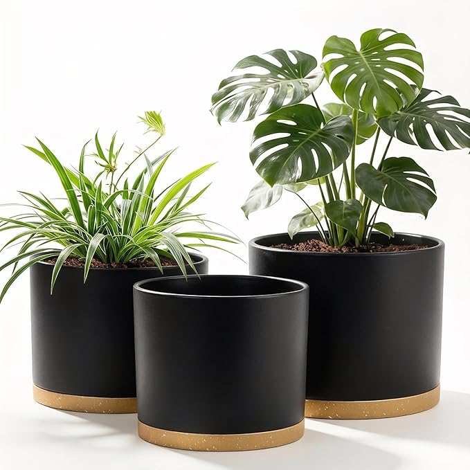 10/9/8 Inch Large Plant Pots with Drainage Holes and Trays, 3 Pack Modern Minimalist Cylinder Planters for Monstera, Snake Plant, Indoor Outdoor (Matte Black & Brown)