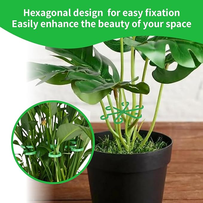 16pcs Plant Stem Support Reusable Plant Growth Accessories 4 Sizes,Climbing Houseplant Stem Supports,Plant Support Rings, Leaf Holders, Indoor Plant Stakes Stabilizer Accessories