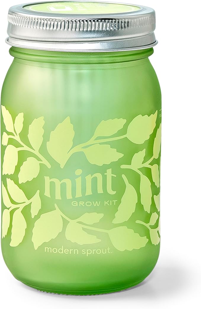 Modern Sprout Mason Garden Jar - Self-Watering Hydroponics Growing System Kit w/Organic Herb Seeds - Jar Planter for Indoor Herb Garden - Seed Starter Kit - Easter Gifting & Decor-Mint+Rosemary+Poppy