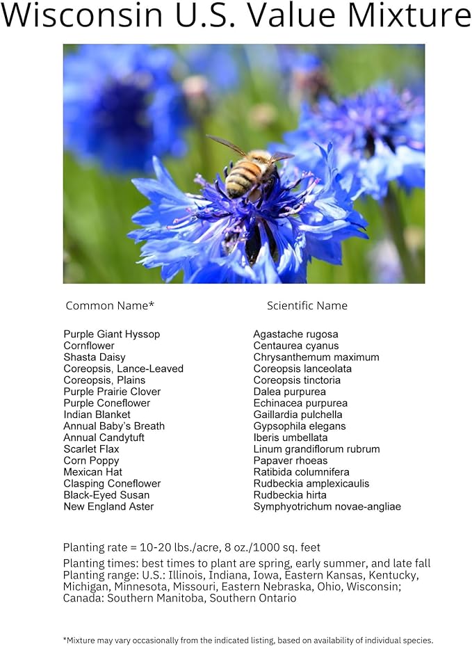 Wisconsin Bulk Perennial Wildflower Seed Mix 1lb Covers 2,000sq-ft - Attract Pollinators, Multi-Color Blooms - Midwest US Species Plant in Spring/Fall - Earth-Friendly Packaging (1 Pound)