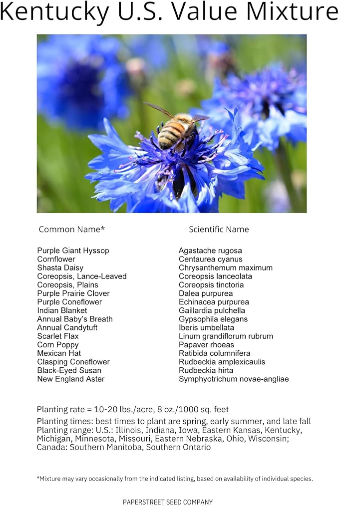 Kentucky Bulk Perennial Wildflower Seed Mix 1lb Covers 2,000sq-ft - Attract Pollinators, Multi-Color Blooms - Midwest US Species Plant in Spring/Fall - Earth-Friendly Packaging (1/4 Pound)