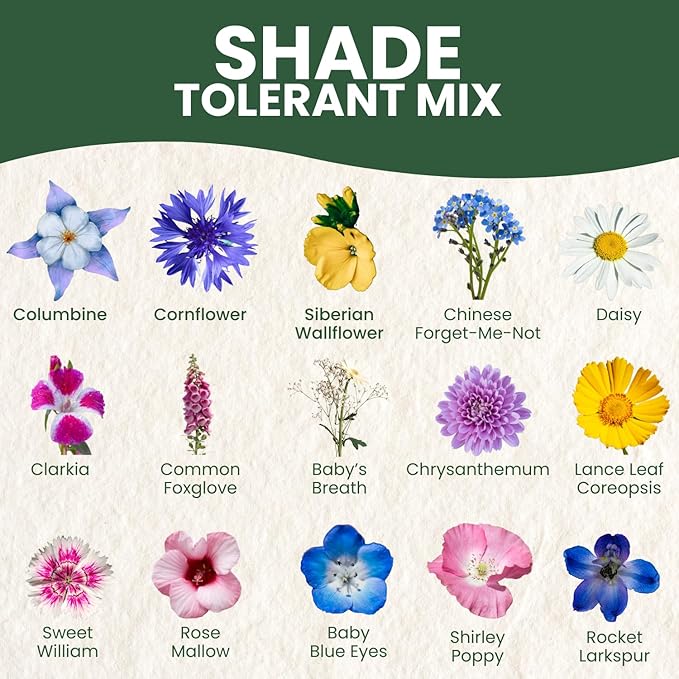 Shade Tolerant Mix – 14,000 Wildflower Seeds for Pollinator Gardens – 2026 Season – 1 Ounce Pouch