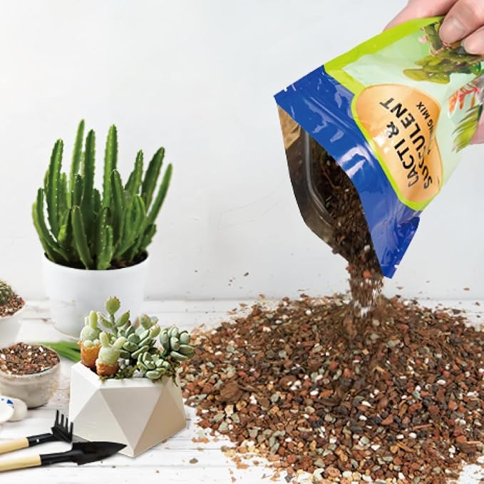 Succulent & Cactus Soil Potting Mix 10qt, Chunky Dirt with Fast Draining Fits for Bonsai, Terrarium and Houseplant