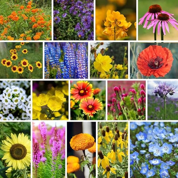 Bee-Friendly Wildflower Mix Seeds - 4 Oz - Non-GMO, Open Pollinated Flower Seed Blend to Attract Bees, Pollinators, and Butterflies - Suitable for Garden Beds, Containers, or Open Spaces