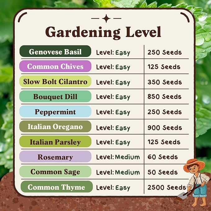 Seedboy Organic Non GMO 10 Herb Variety Pack: Basil, Cilantro, Mint, Oregano, Parsley, Thyme, Chives, Dill, Sage, Rosemary for Planting Indoor and Outdoor, USDA Certified (10 Herb Variety Pack)