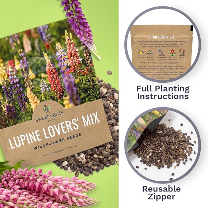Lupine Wildflower Seeds - Large 1 Ounce Packet - Over 1,200 Annual and Perennial Mixed Lupine Flower Seeds