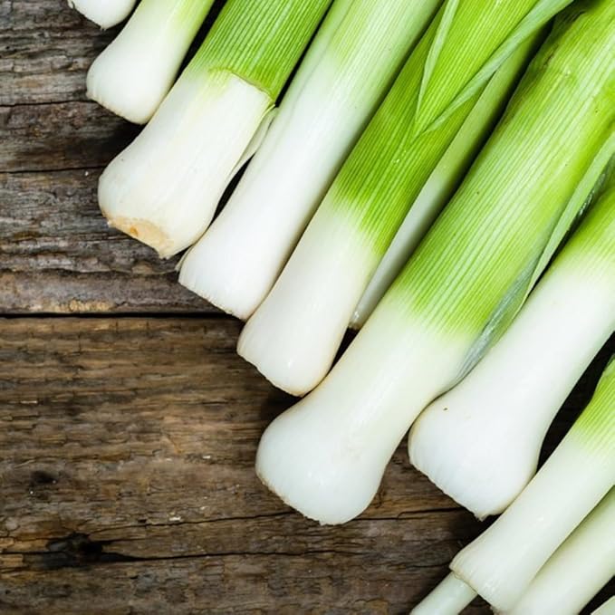 Seeds Leek Fall Giant - Organic