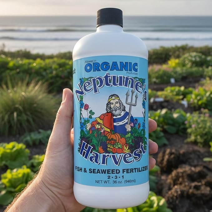 Neptune's Harvest Fish & Seaweed Liquid Fertilizer (2-3-1) - 36oz Bottle - Plant Food for Garden - Indoor & Outdoor Organic Plant Fertilizer for Vegetables, Flowers, Fruit, Trees & Lawns