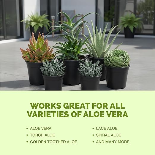 Aloe Vera Fertilizer for All Aloe and Succulent Plants, Liquid Plant Food, 32 oz (1 Quart)