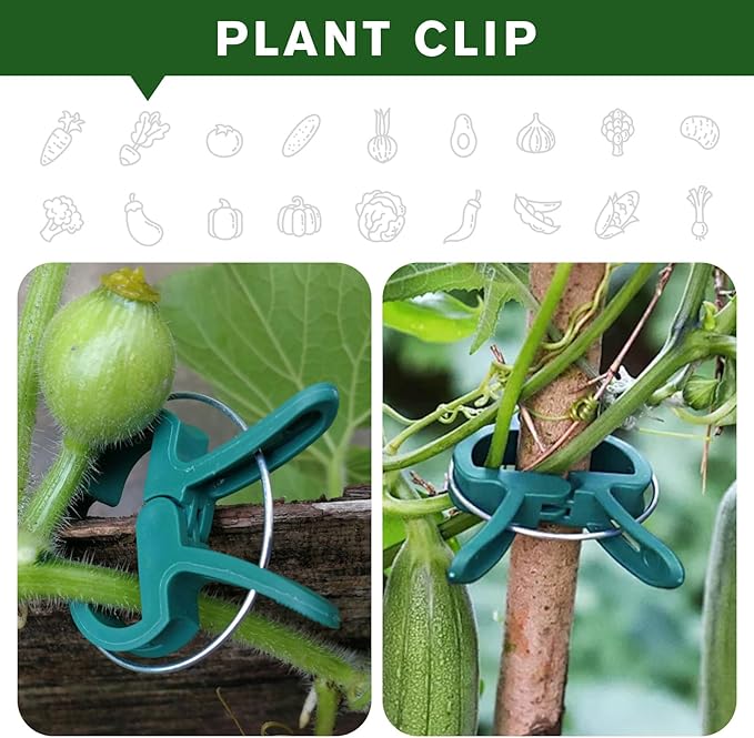 A Plant Clamp Used for Climbing Plants,Horticultural Clip Used to Support Climbing of Flower Stems, Vines, Vegetables, and Tomatoes,Vine Clip for Garden Vine Training(Green, 60 Small)