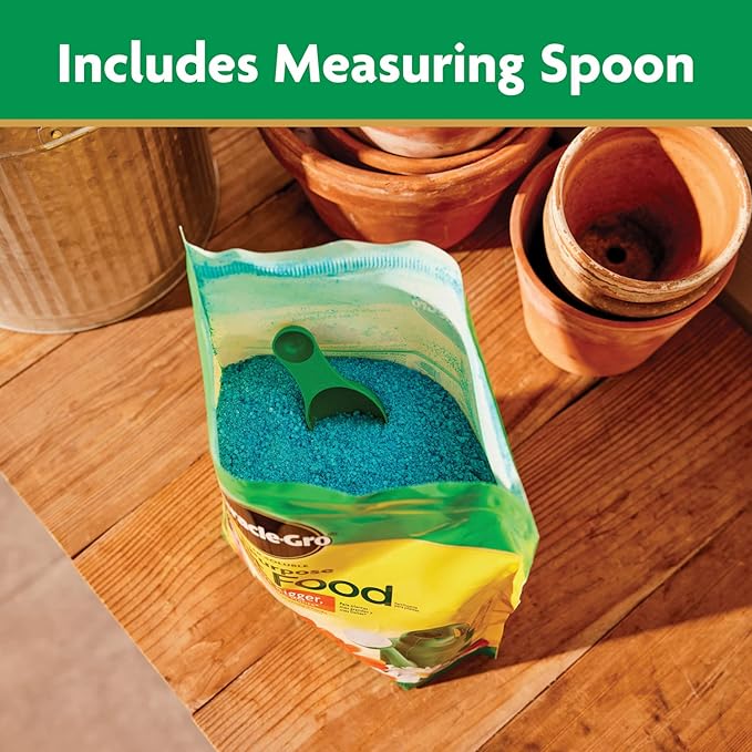 Miracle-Gro Water Soluble All Purpose Plant Food - Fertilizer For All Indoor or Outdoor Plants including Roses, Flowers, Vegetables, Houseplants, Trees, and Shrubs, 5.5 lbs. (2-Pack)