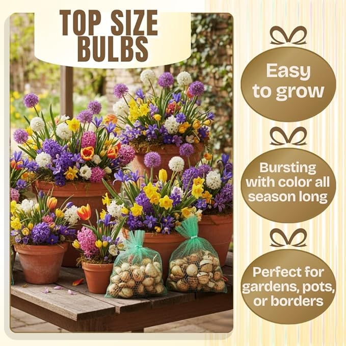 80 Mixed Flower Bulbs for Fall Planting, Assorted Colorful Spring Blooms, Hardy Perennial Mixed Flower Bulbs for Beds, Borders & Containers, Large Size Flowers Bulb