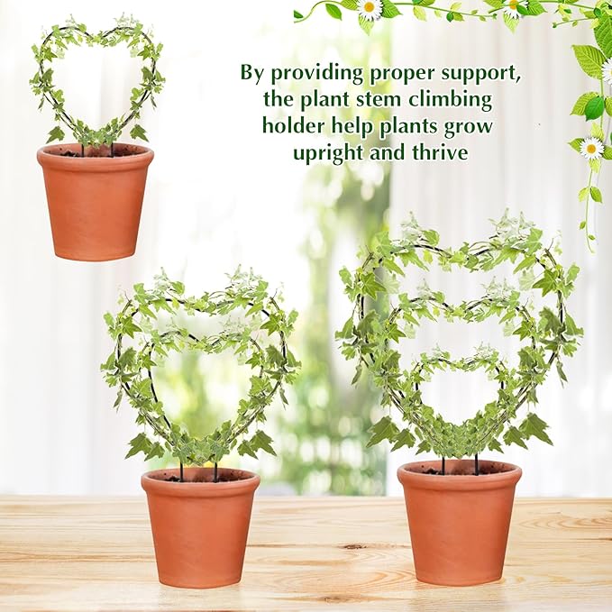 Hoya Trellis 3 Size Indoor Plants Flower Support Stakes Round or Heart Metal Trellis Set Garden Tool Accessories for Small Potted Vine Climbing Houseplants (BlackH)