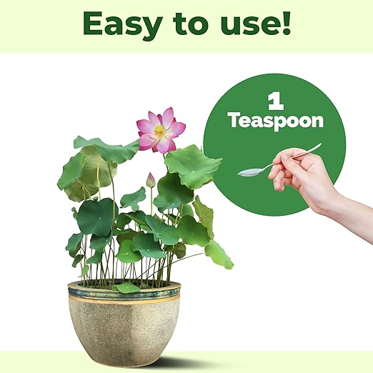 Water Plant Fertilizer – Liquid Plant Food for Healthy Aquatic Growth, Stronger Roots & Vibrant Water Plants, 32 oz
