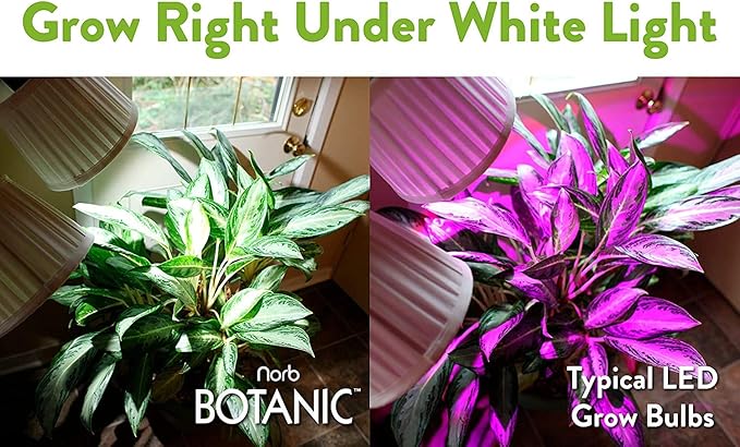Norb NorbBOTANIC Full Spectrum Grow Light Bulb, Premium PAR38 LED Plant Light, 16W White Light for Indoor Plants, Herbs, Tropical Plants, 15 Degree