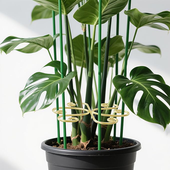 5pcs Plant Stem Support，Metal Shaped Support Frame For Outdoor & Indoor Plant Growth Stereotypes-Medium