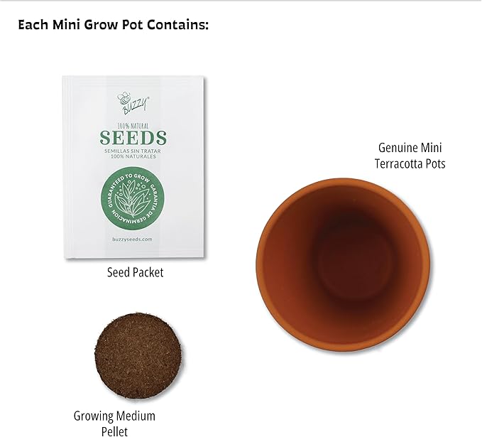 BUZZY Seeds Terracotta Mini Grow Pots, Flower Starter Kit, Assorted 12-Pack, Bright Series Collection Daisy, Lavender, Mini Rose, Sunflower Seeds, Gardening Gift, Party Favors, Weddings, Showers