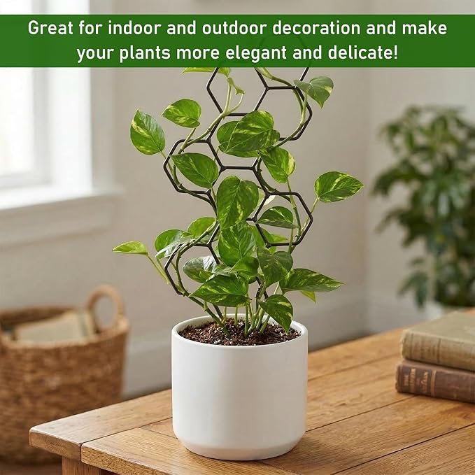 Plant Trellis Indoor, Trellis for Climbing Plants, Hanging Planters for Planting Houseplant Plant Wall, Honeycomb Pothos Planting Climber Support for Flower Indoor Plants Supports(Black)