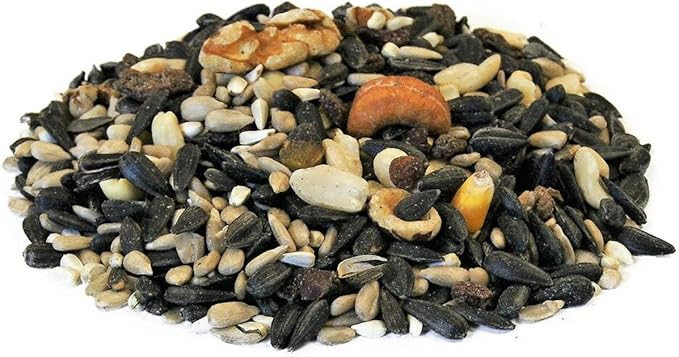 CountryMax Backyard Seeds Berries 'N Fruit Bird Seed – Premium Blend for Wild Birds with Dried Fruit & Berries, 20 lb Bag