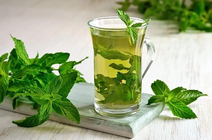 CEMEHA SEEDS - Seeds Peppermint Mentha Mint Plant Non GMO Herbs for Planting 1000 Seeds