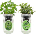 2-Pack Hydroponic Mason Jar Herb Garden Kit, Indoor Herb Garden Self-Watering Starter Kit, New Christmas Gift for Mom (Catnip,Peppermint)