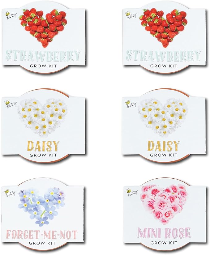 BUZZY Seeds Love Collection Indoor Flower Starter Kit – Terracotta Mini Grow Pots 6-Pack with Strawberry, Mini Rose, Forget-Me-Not, and Daisy Seeds, Valentine’s Day and Wedding Favors