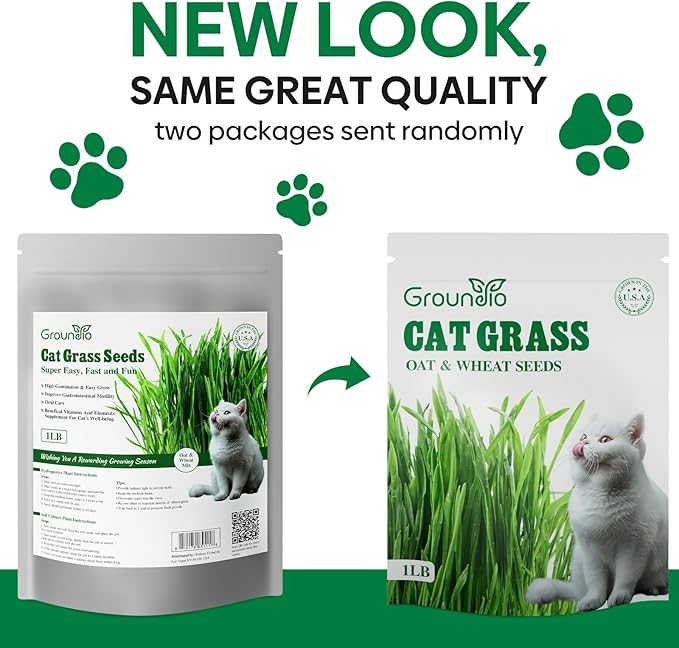 Cat Grass Seeds, 16 OZ, Grown in The USA for Indoor Cats, Non-GMO, 1 Pound