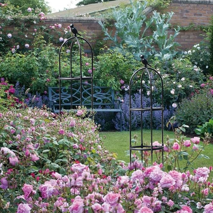 Garden Trellis,2 Pack Tomato Cage for Climbing Plants Outdoor, Plants Trellis Support for Climbing Vines, Plant Support for Vegetables, Plant Flower Trellises for Clematis Jasmine Outdoor Indoor