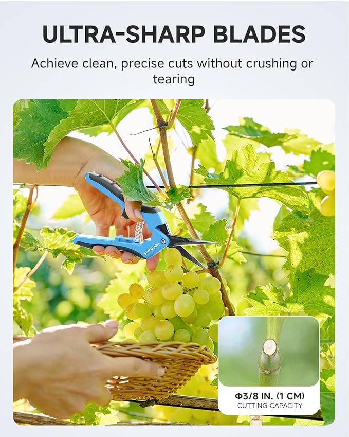 Fondwell 6.5" Trimming Shears Pruning Snips: Precise Gardening Scissors with Curved Micro Tip - Ideal for Tight Space Garden Work