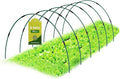 30Pcs Garden Hoops for Raised Beds, 6 Sets of 8.5 FT Long Garden Hoops, Rust-Free Fiberglass Greenhouse Hoops Grow Tunnel for Netting, DIY Plant Support Garden Stakes for Row Cover