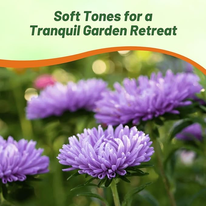 Outsidepride Gremlin Aster Seeds - 1000 Pcs. Annual, Hardy & Pollinator Friendly Flower Seeds for Planting Vibrant Lavender Blooms and Oval-Shaped Leaves, Great for Meadows & Aesthetic Gardens