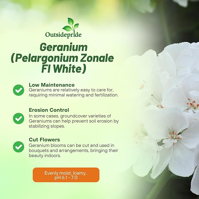 Outsidepride White Geranium Seeds for Planting - 50 Pcs Annual, Heat & Drought Tolerant Flower Seeds with Green Foliage & White Blooms for Pots, Borders & Lush Summer Garden Displays