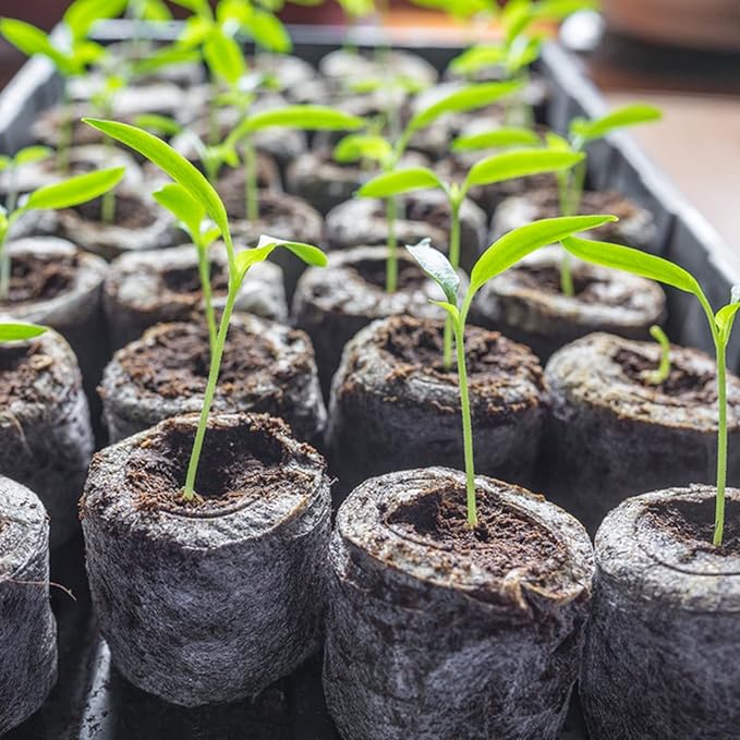ZeeDix 100 Pcs (50mm) Peat Pellet Fiber Soil Plant Seed Starters - Plugs Pallet Seedling Soil Block, Seed Fertilizer Nutrient Block Compressed Peat Block for Grow Herbs, Plant,Flowers and Vegetables