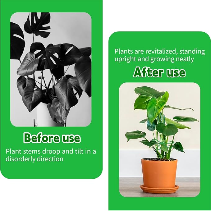 16pcs Plant Stem Support Reusable Plant Growth Accessories 4 Sizes,Climbing Houseplant Stem Supports,Plant Support Rings, Leaf Holders, Indoor Plant Stakes Stabilizer Accessories