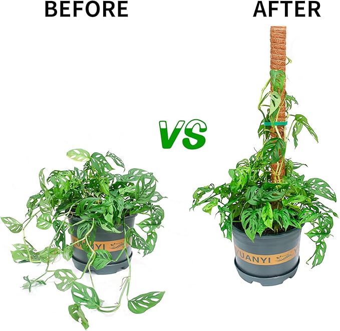 JJGoo Moss Pole for Plants Monstera, 2 Pack 23.6 inch Plant Support Pole, Extendable Coir Totem Pole for Potted Plants Pothos,Train Indoor Climbing Plants to Grow Upwards - Extends to 40.6 Inches