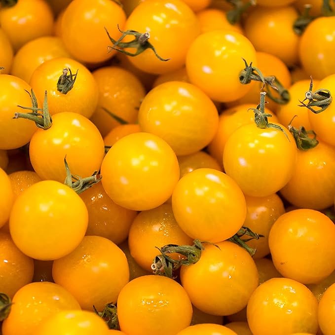 Vegetable Garden Seeds for Planting - Grow Heirloom Vegetables (SunSugar Tomato)