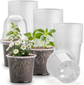 60 Pack Clear Nursery Pots with Humidity Domes, 4 Inch Plastic Plant Pots with Drainage Holes for Seedlings, Transparent Seed Starting Pot for Cuttings Propagation Indoor Gardening