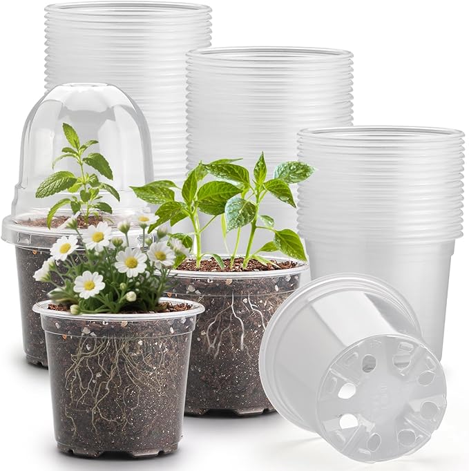 60 Pack Clear Nursery Pots with Humidity Domes, 4 Inch Plastic Plant Pots with Drainage Holes for Seedlings, Transparent Seed Starting Pot for Cuttings Propagation Indoor Gardening