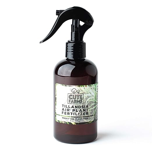 Cute Farms Tillandsia Air Plant Fertilizer | Gentle Weekly Use Formula Plant Food | Formulated Nutrients for Air Plants (8 oz. Spray Bottle + ONE Fine Mist Water Sprayer)