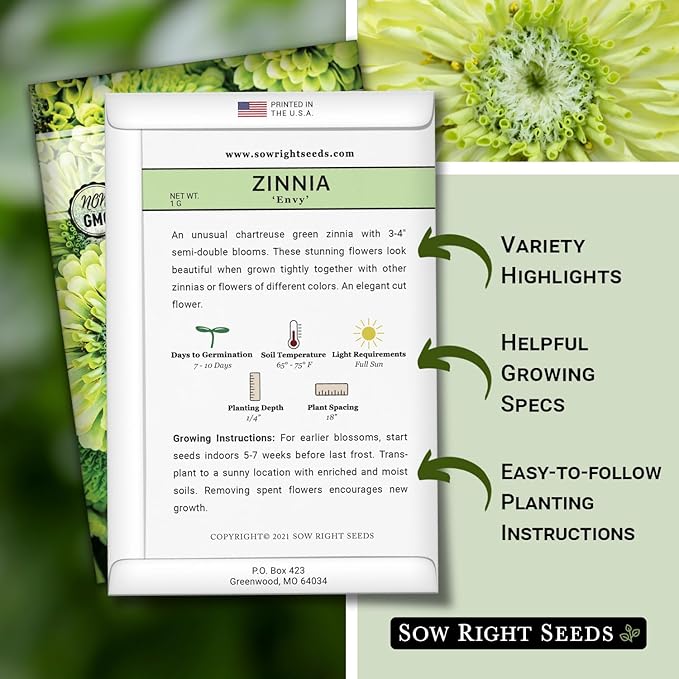 Sow Right Seeds - Zinnia Envy Flower Seeds for Planting - Beautiful Flowers to Plant in Your Garden - Non-GMO Heirloom Seeds - Chartreuse Green Variety - Attract Pollinators - Giant Cut Flower (4)