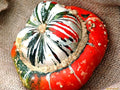 Seeds Ornamental Pumpkin Turk's Turban 10+ Seeds for Growing Decorative and Edible Non-GMO Annual Plant