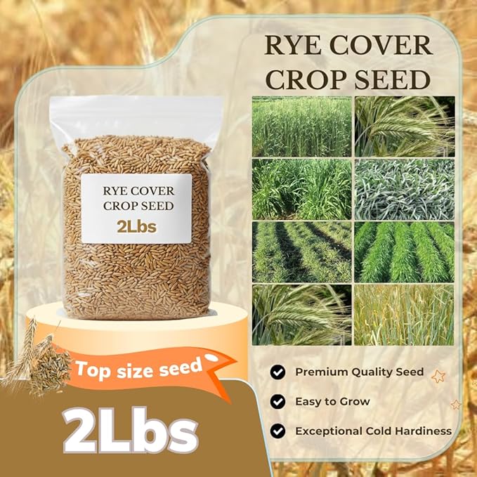 Rye Grass Seeds 2 lb Bag, Rye Seeds for Planting, Quick Growing Rye Cover Crop for Lawns, Gardens