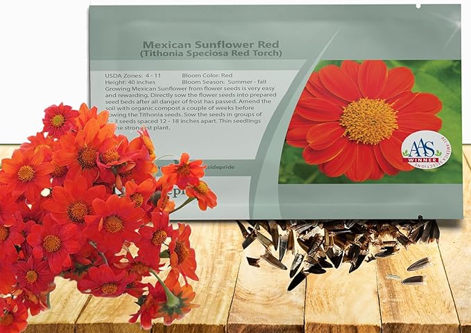 Outsidepride Red Torch Mexican Sunflower Seeds - 1000 Seeds Annual Tithonia, Fast-Growing, Heat & Drought-Tolerant Flower Seeds for Pollinator Gardens, Landscapes, & Flower Arrangements (AAS Winner)