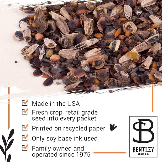 Bentley Oh Baby Wildflower Seed Packets, 25 Non-GMO Pre-Filled Favors for Baby Shower Guests, Wild Flower Party Gifts for Boys or Girls