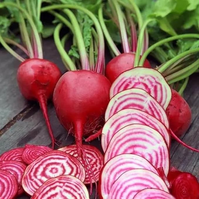 Chioggia Beet Seeds for Planting – Plant & Grow Heirloom Chioggia Beets in Home Outdoor Vegetable Garden, Beta vulgaris – 2 Packets