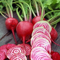 Chioggia Beet Seeds for Planting – Plant & Grow Heirloom Chioggia Beets in Home Outdoor Vegetable Garden, Beta vulgaris – 3 Packets